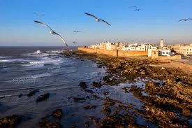 Climat et Météo à Essaouira